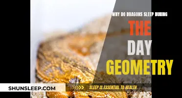 Daytime Geometry: Why Dragons Snooze and Ignore Prey