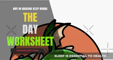 Daytime Dragon Slumber: Worksheet Explained