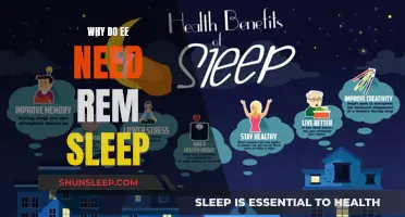 Understanding REM Sleep: Essential for Body and Mind