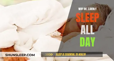 Daytime Napping: Understanding Elderly Sleep Patterns and Causes