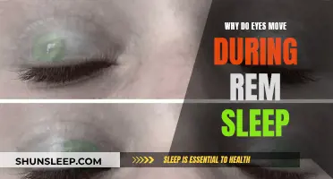 The Mystery of Moving Eyes During REM Sleep