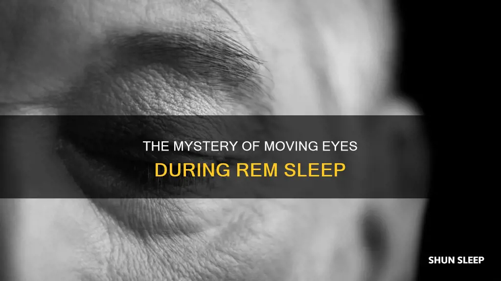 why do eyes move during rem sleep