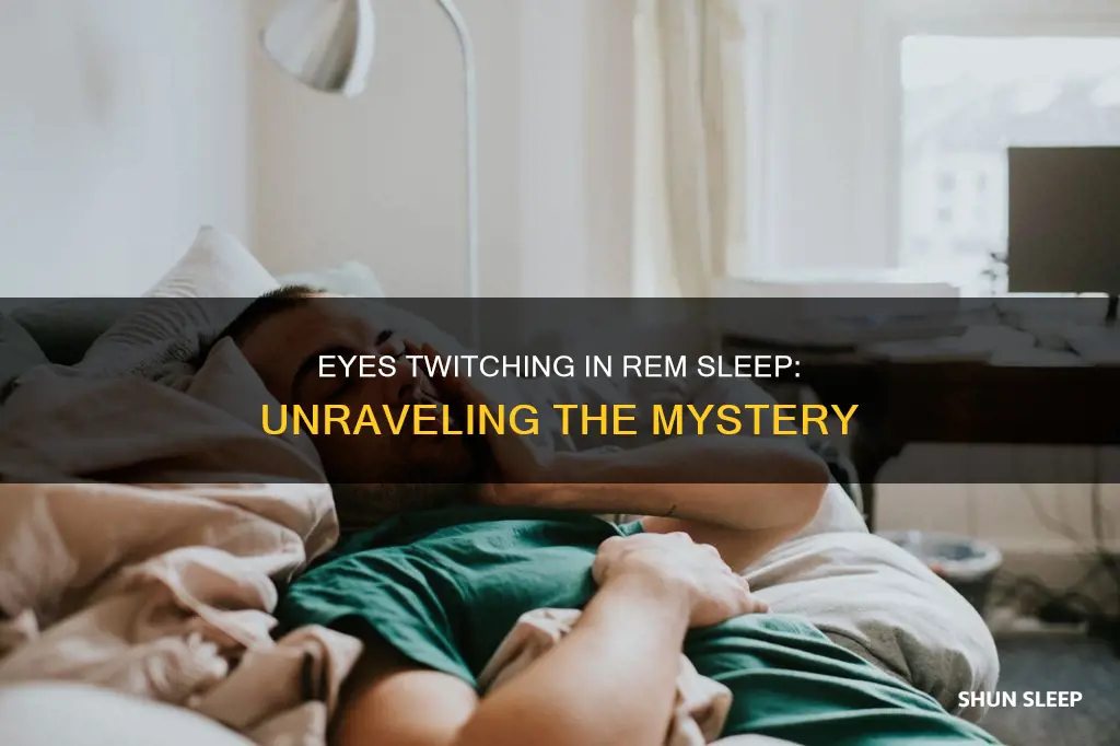 why do eyes twitch in rem sleep