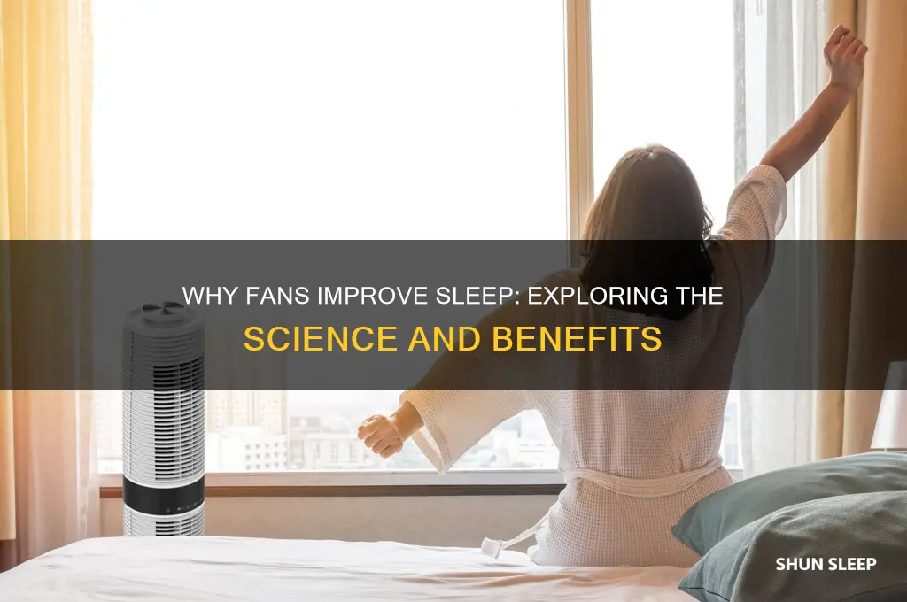 why do fans help me sleep