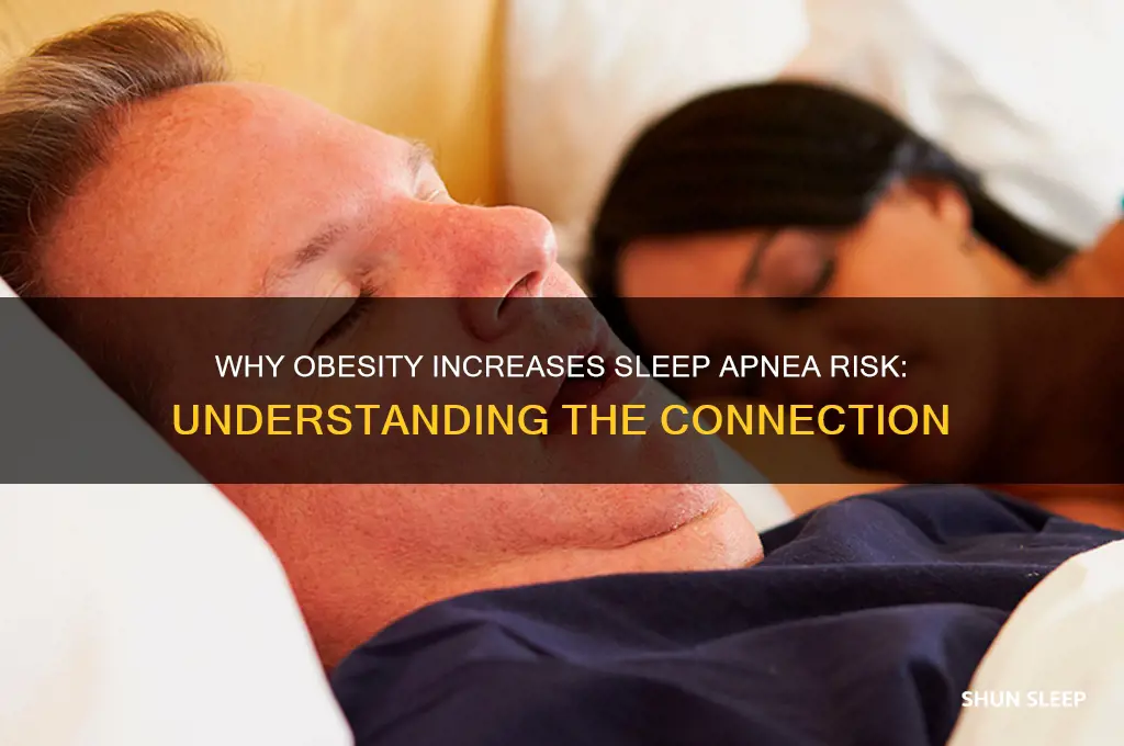why do fat people get sleep apnea