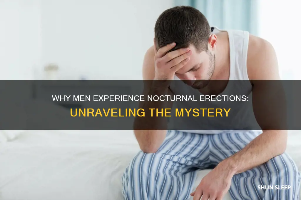 why do guys get hard in there sleep