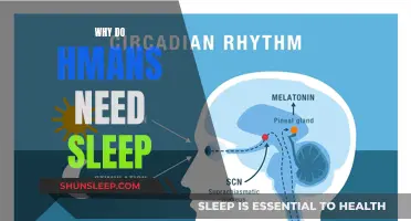 The Science of Sleep: Why Humans Need It