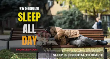 The Mystery of Daytime Sleep Among the Homeless