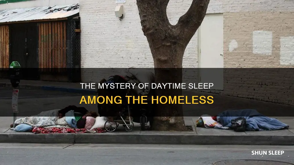 why do homeless sleep all day