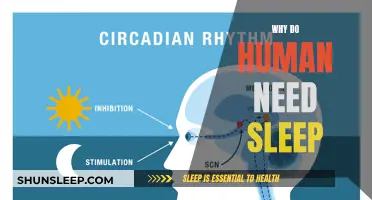 The Science of Sleep: Why Humans Need It