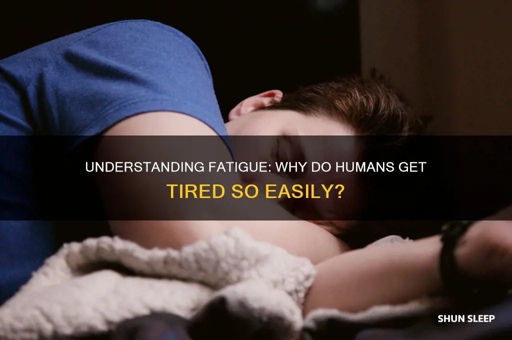 why do humans get tired