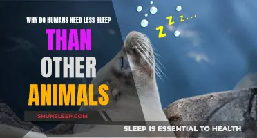 The Sleep Advantage: Why Humans Need Less Shut-Eye