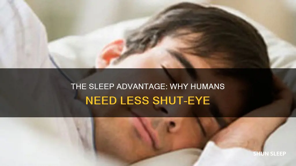 why do humans need less sleep than other animals