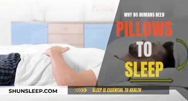 The Comfort of Sleep: Pillows and Humans