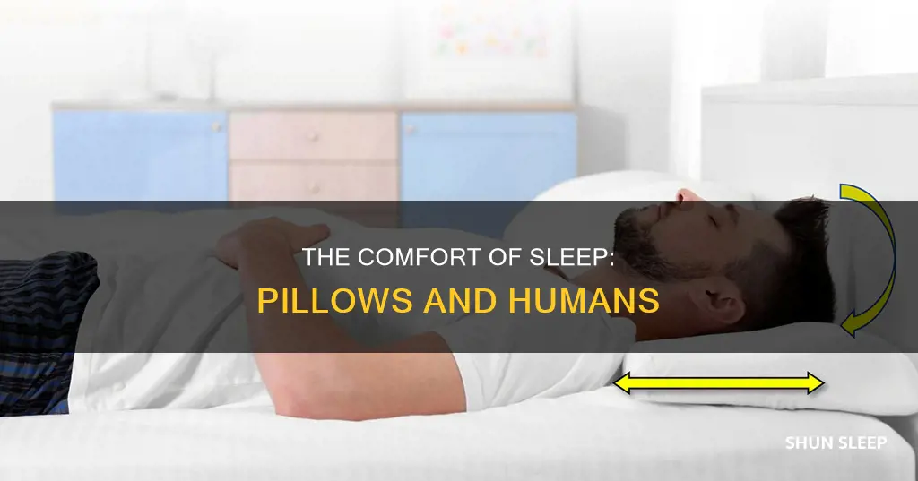 why do humans need pillows to sleep
