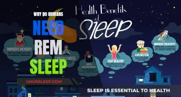 REM Sleep: The Brain's Essential Housekeeping and Learning Mode