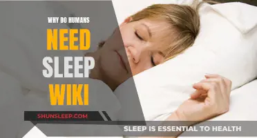 Sleep: Essential for Human Health and Well-being