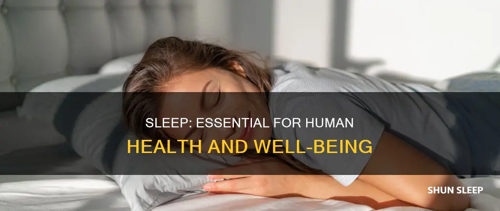 why do humans need sleep wiki