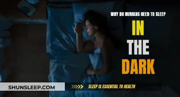 The Dark and Sleep: An Ancient Human Bond