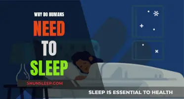 The Science of Sleep: Why Humans Need It