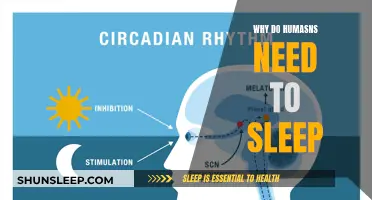 The Science of Sleep: Why Humans Need It