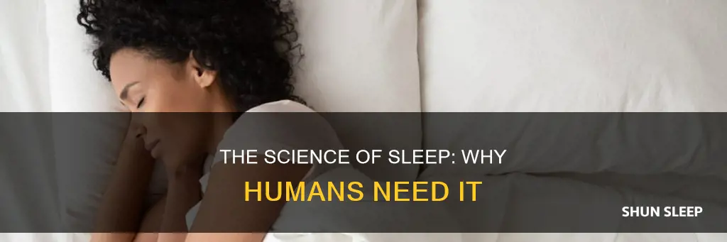 why do humasns need to sleep