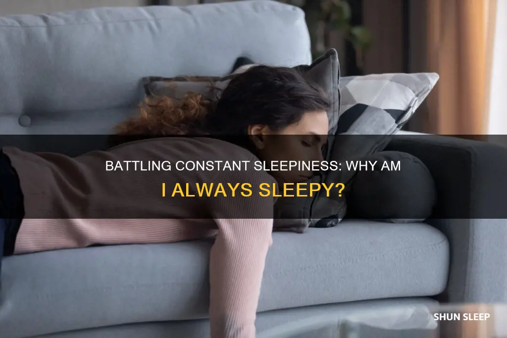 why do i always feel like i need to sleep