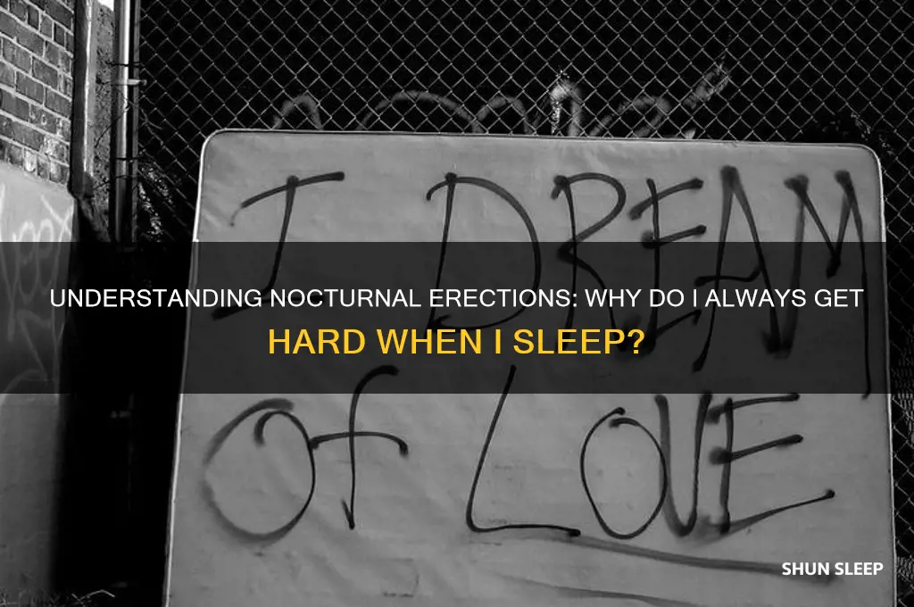why do i always get hard when i sleep