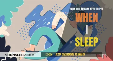 The Urge to Pee: Sleep Interrupted