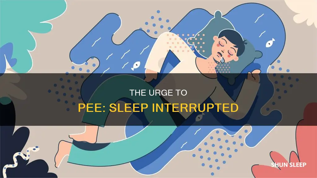 why do i always need to pee when i sleep