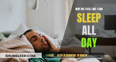 Sleep All Day: Why Am I Always Tired?