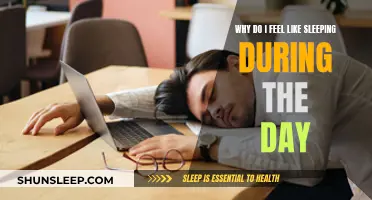 Daytime Sleepiness: Why Do I Feel So Sleepy?