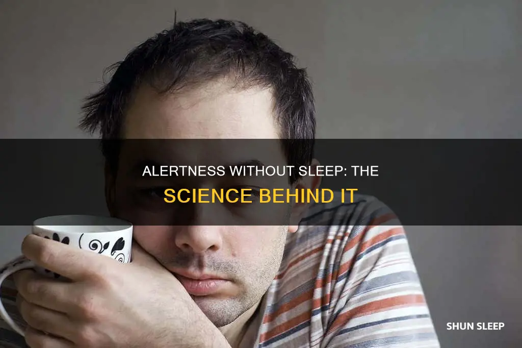 why do i feel so alert without sleep