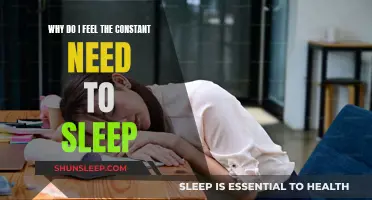 The Sleepy Struggle: Constant Need for Sleep