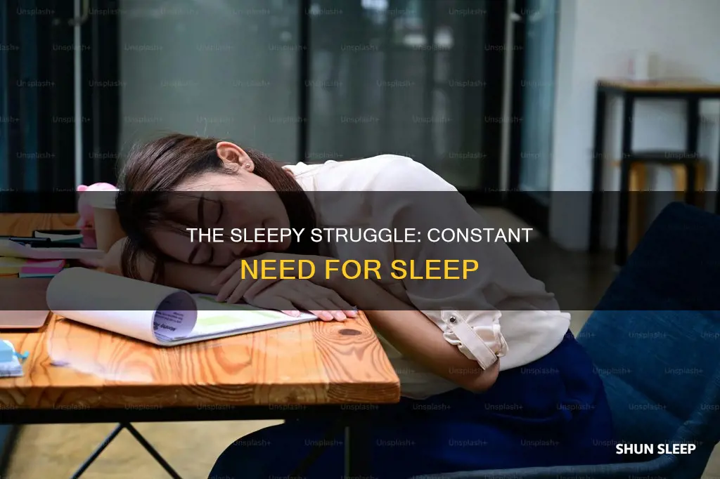 why do i feel the constant need to sleep