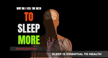 The Sleep Conundrum: Why Do We Need More?