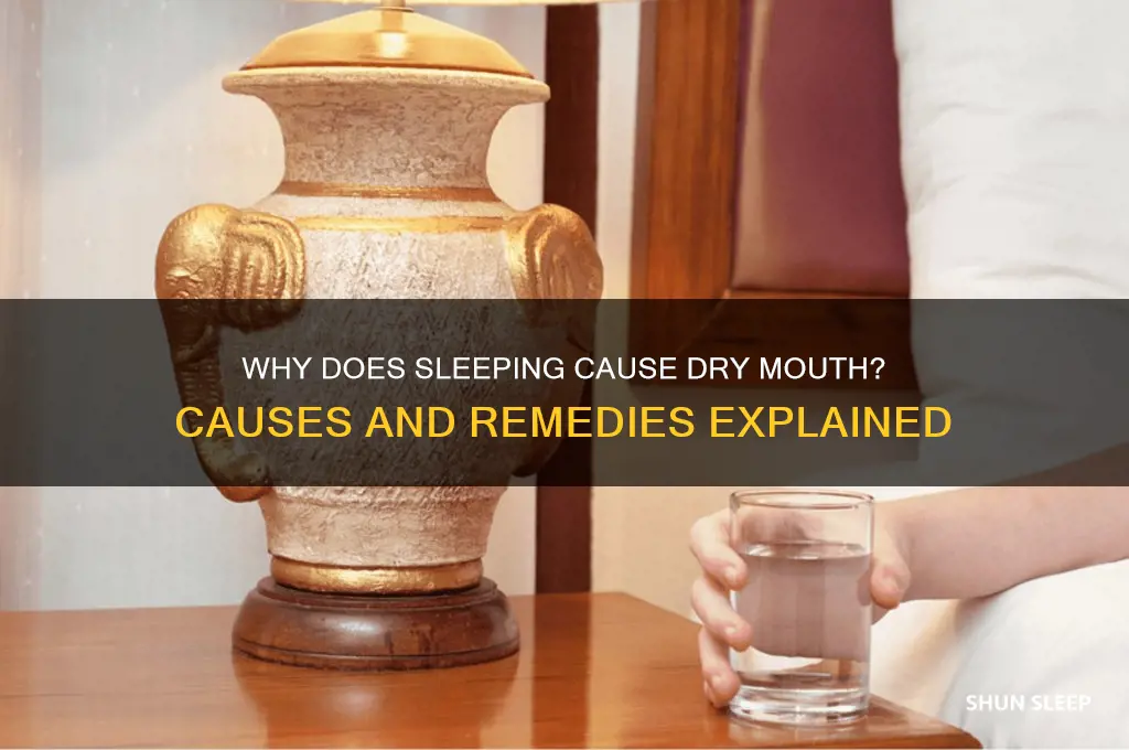 why do i get a dry mouth when sleeping