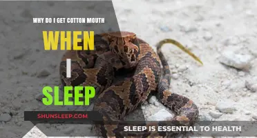 Why Cotton Mouth Happens During Sleep: Causes and Solutions