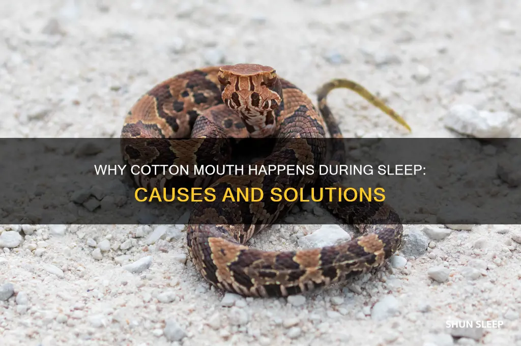 why do i get cotton mouth when i sleep