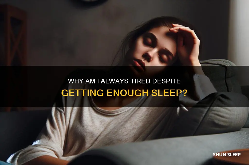 why do i get enough sleep but still feel tired