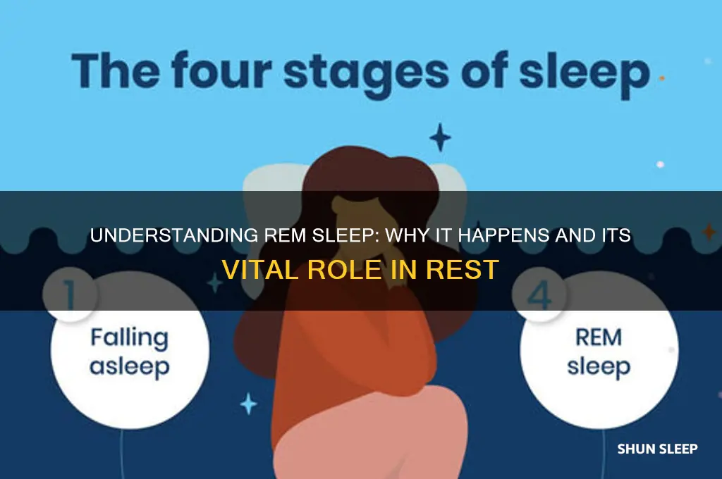 why do i get rem sleep