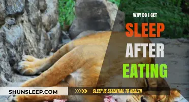 Post-Meal Sleepiness: Understanding Why You Feel Tired After Eating