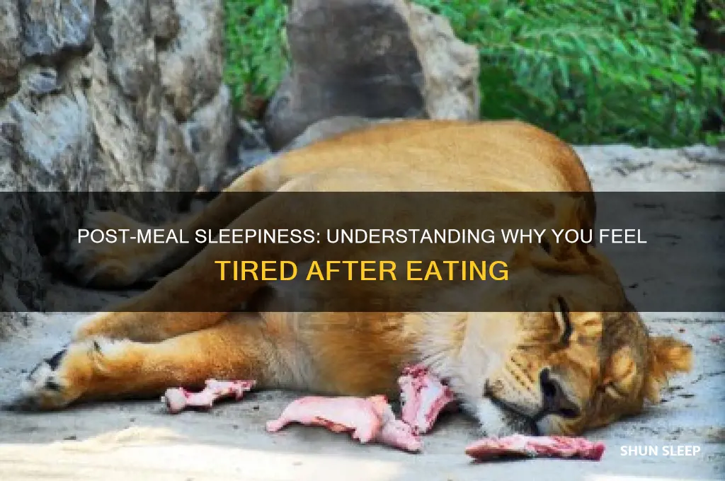 why do i get sleep after eating