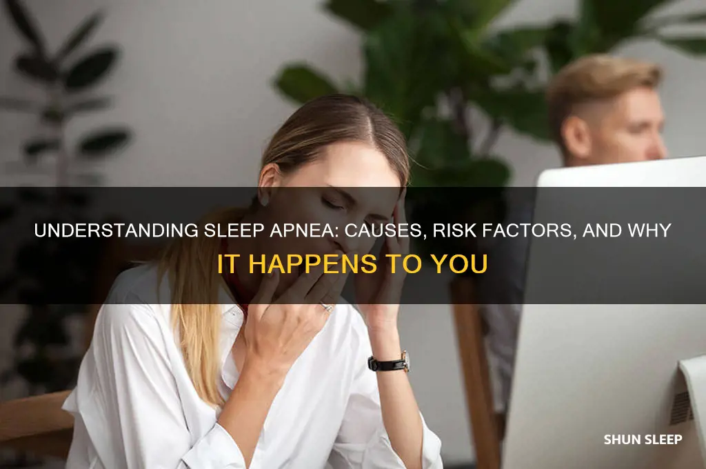 why do i get sleep apnea