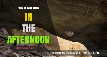 Afternoon Slump: Understanding Why You Feel Sleepy Post-Lunch