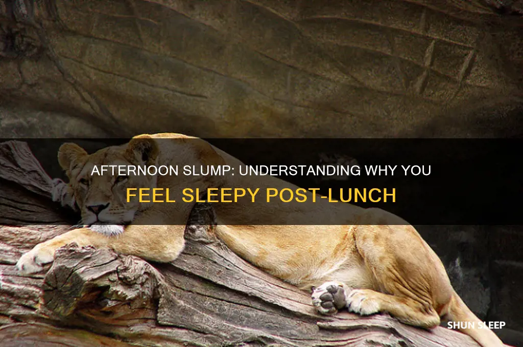 why do i get sleep in the afternoon