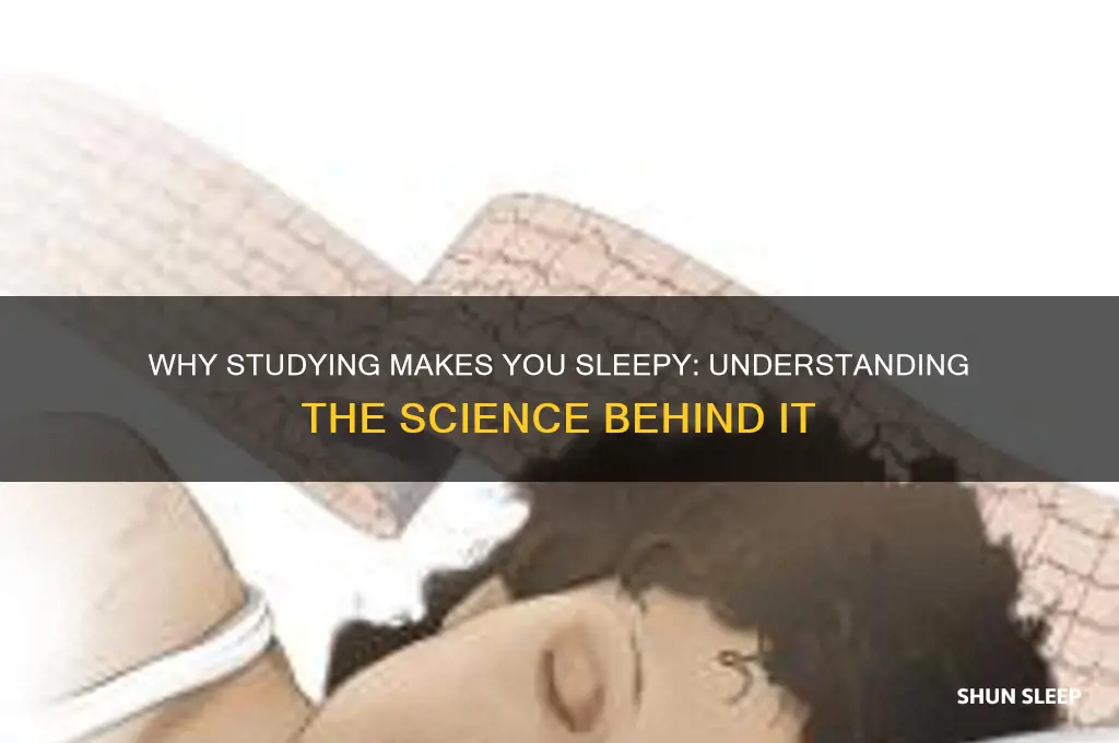 why do i get sleep when i study