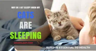 Feline Slumber Sync: Why Cats' Naps Make You Sleepy Too