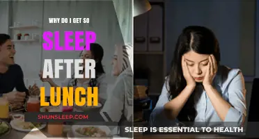 Post-Lunch Slump: Why You Feel Sleepy After Eating Lunch