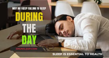 Daytime Sleepiness: Why Am I Always Falling Asleep?